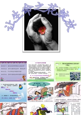 让生命之花绽放课件