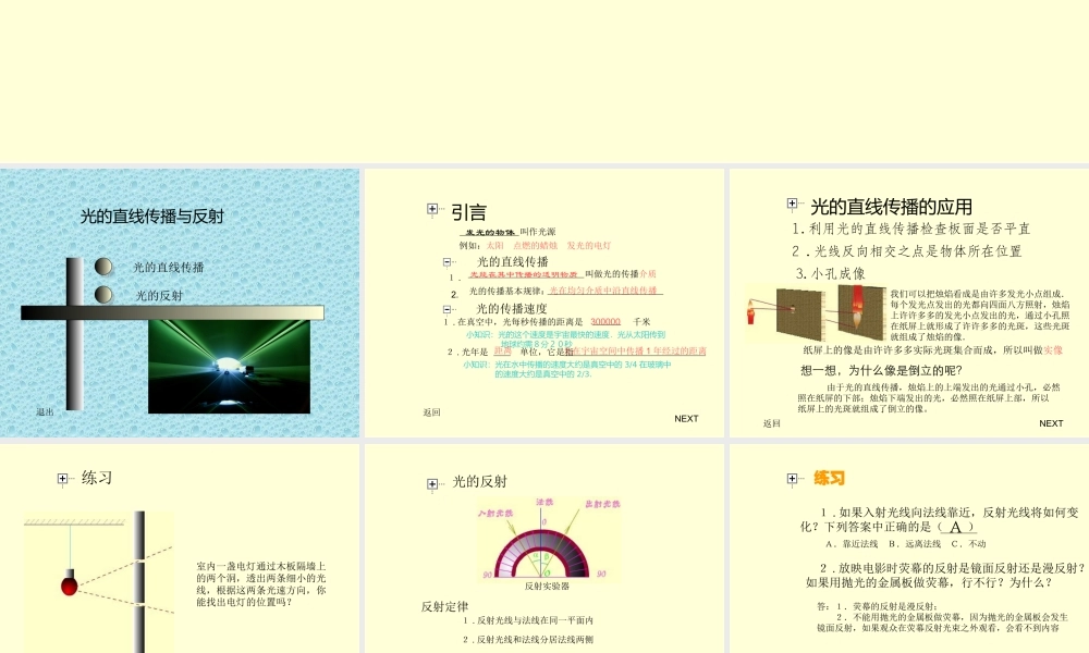 光的直线传播与反射
