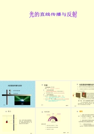 光的直线传播与反射