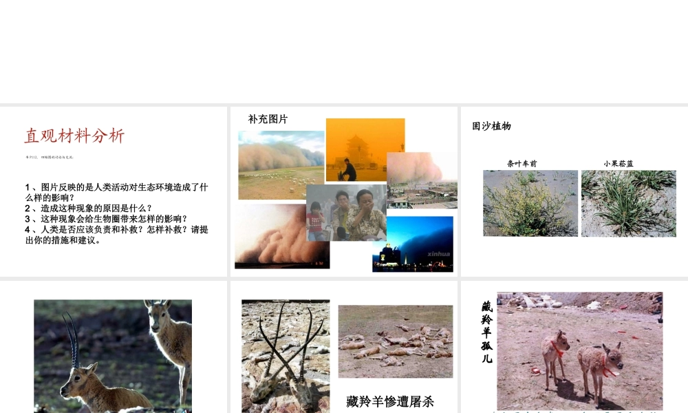 第一节--分析人类活动破坏生态环境的实例