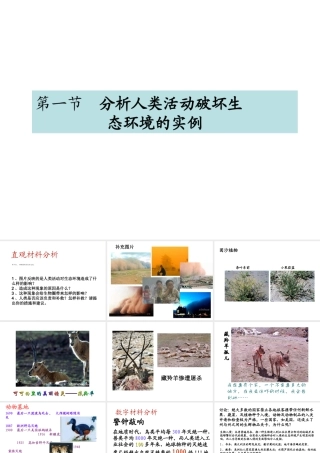 第一节--分析人类活动破坏生态环境的实例