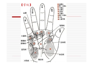 掌纹看相之成功线
