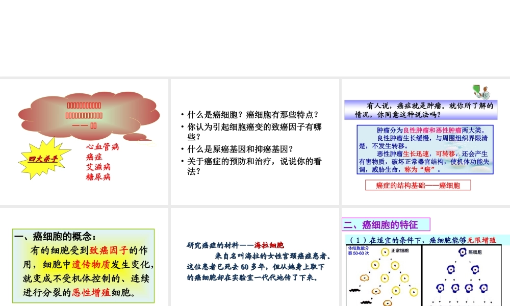 6.4《细胞的癌变》课件7