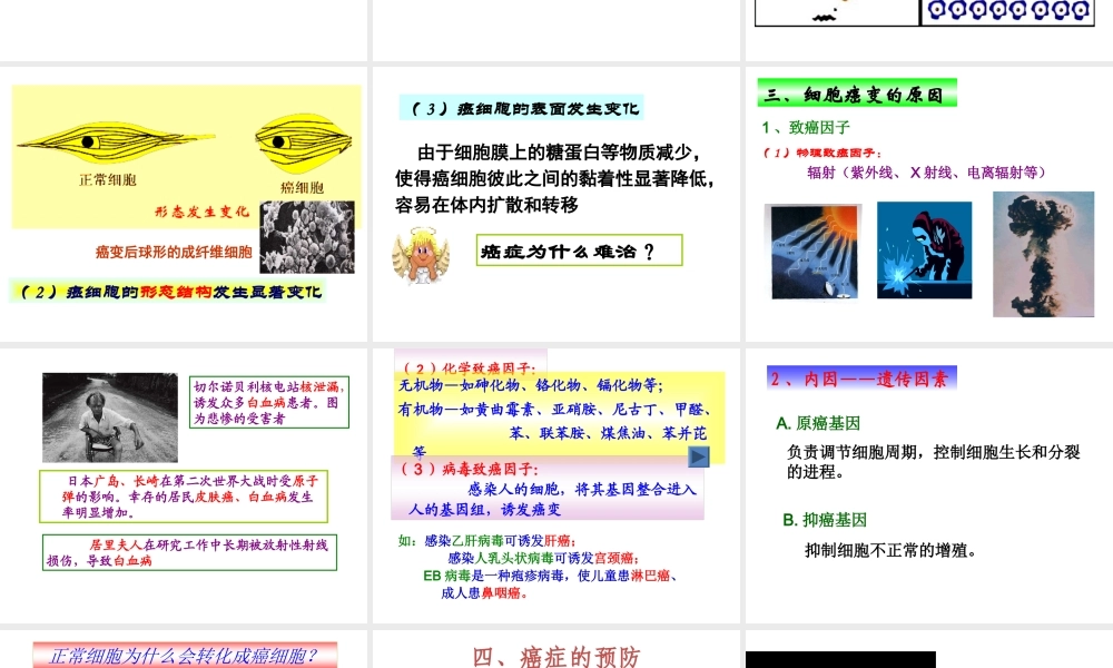 6.4《细胞的癌变》课件7