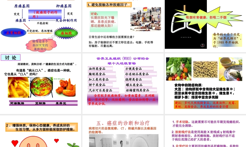 6.4《细胞的癌变》课件7