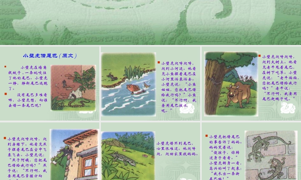 小学语文一年级课件-小壁虎借尾巴4