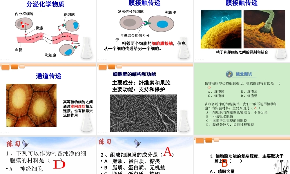 科学家访谈-探索生物大分子的奥秘-(9)