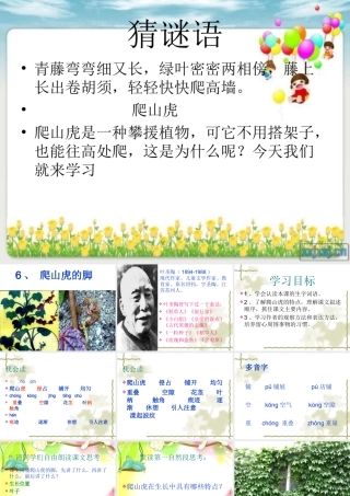 《爬山虎的脚》课件