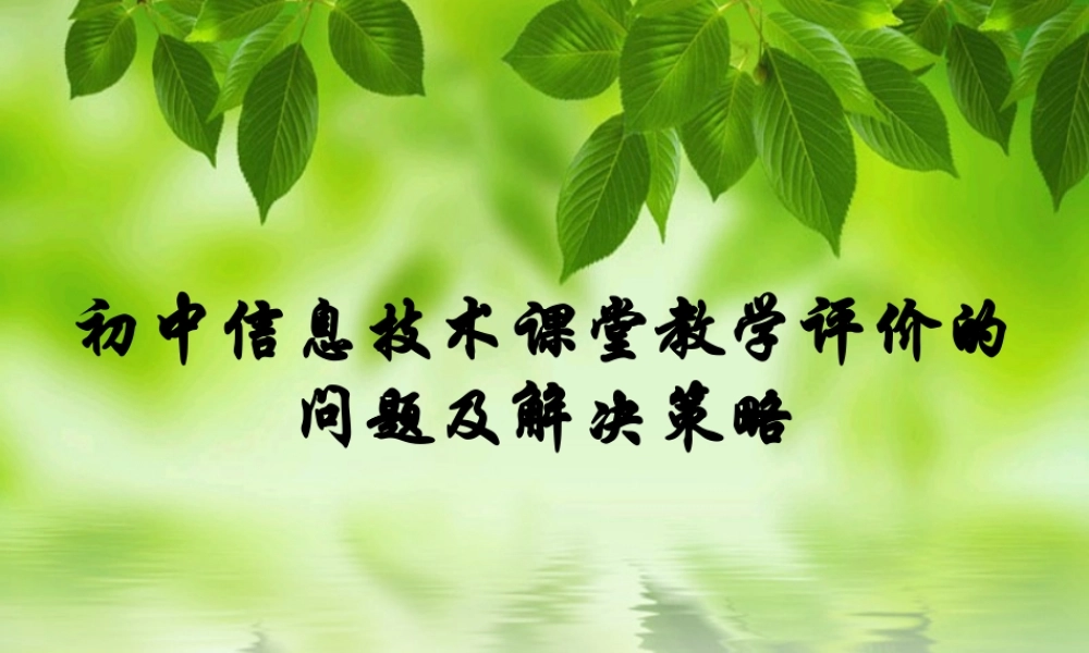 初中信息技术课堂教学评价的问题及解决策略