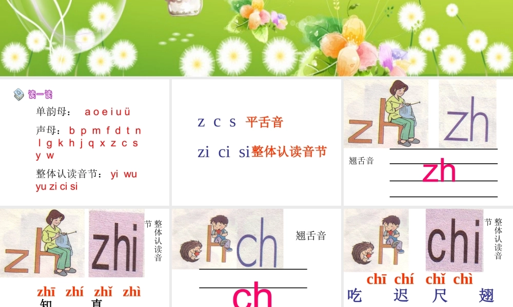 zh-ch-sh-r教学课件-(2)
