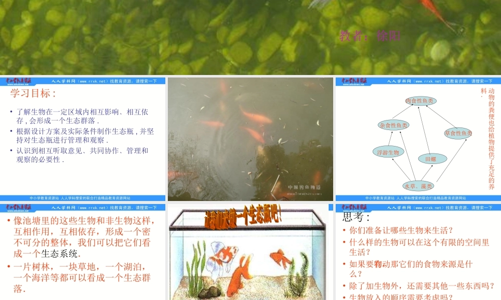 1.6做一个生态瓶