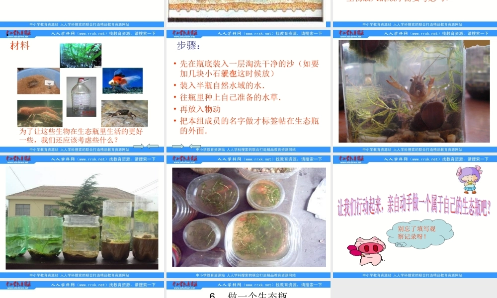 1.6做一个生态瓶