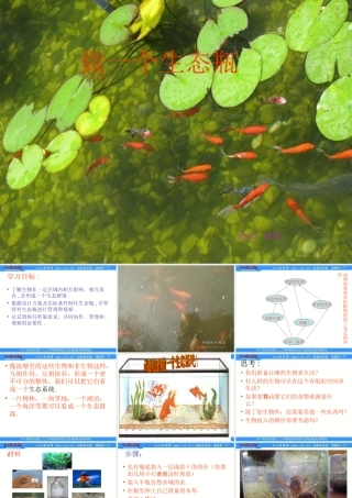 1.6做一个生态瓶