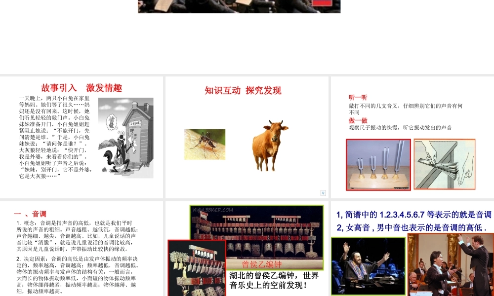 13声音的特性课件a