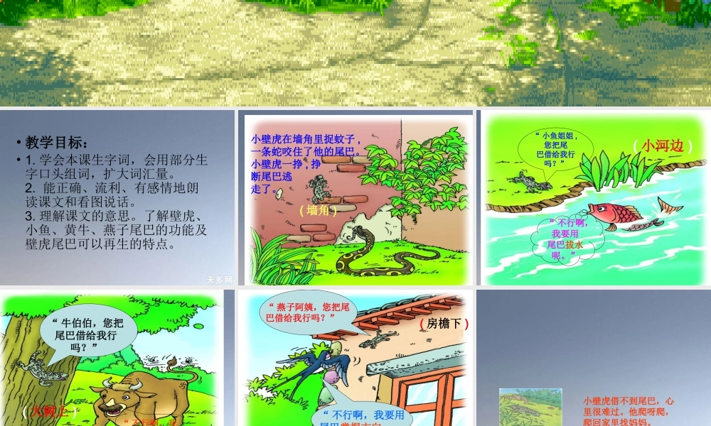 《小壁虎借尾巴》ppt课件