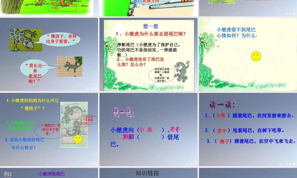 《小壁虎借尾巴》ppt课件