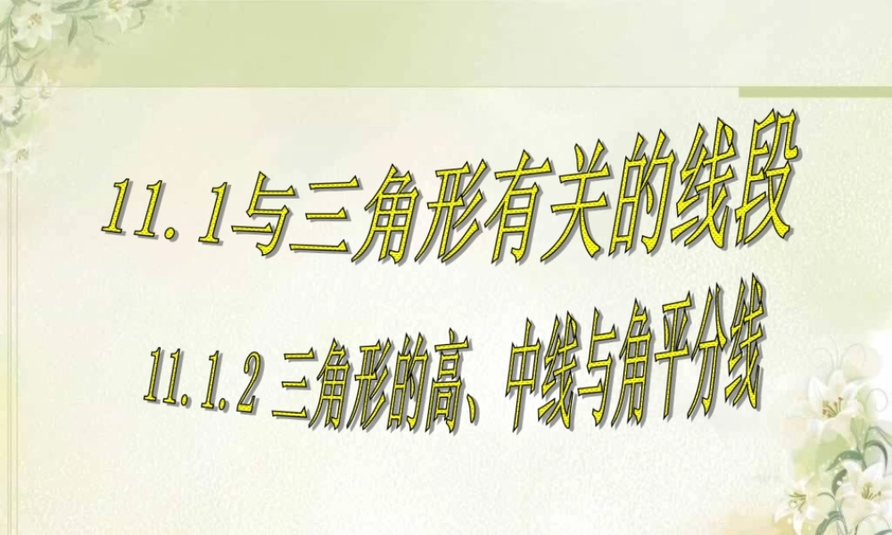 11.1.2--三角形的高、中线与角平分线.1.2三角形的高、中线与角平分线