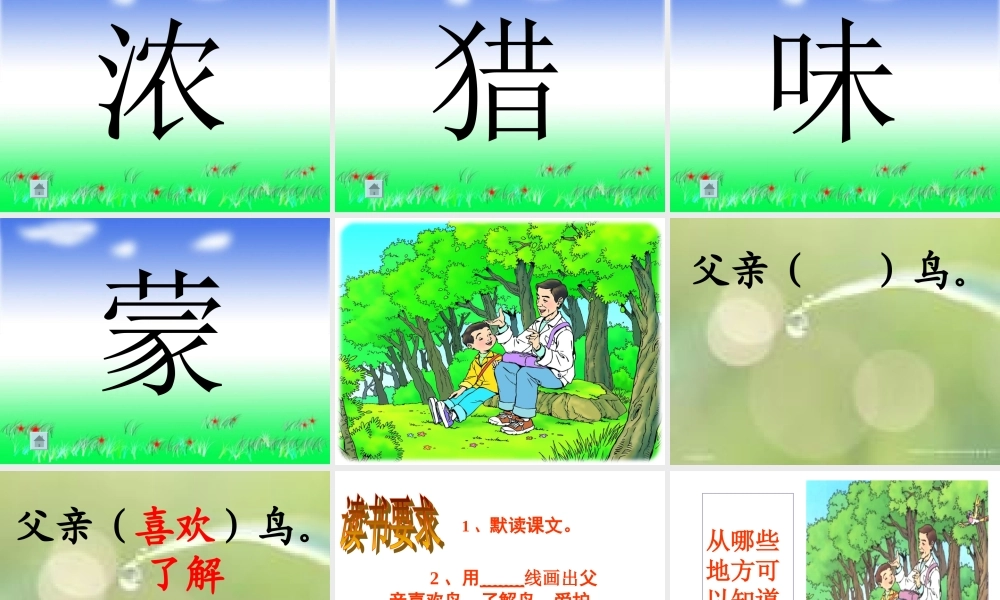 《父亲和鸟》课件4