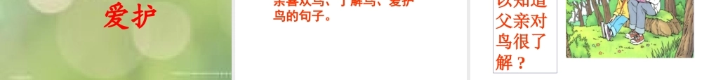 《父亲和鸟》课件4
