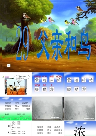 《父亲和鸟》课件4