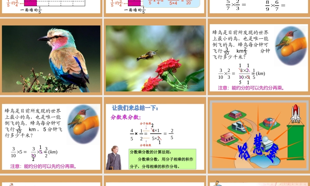 《分数乘分数》教学课件-2