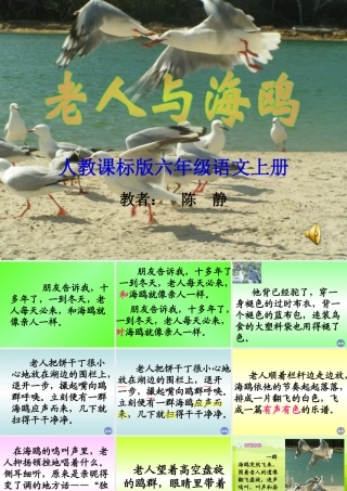六语上《老人与海鸥》教学课件