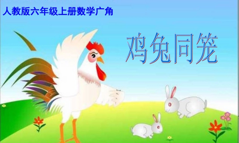 鸡兔同笼沈秀