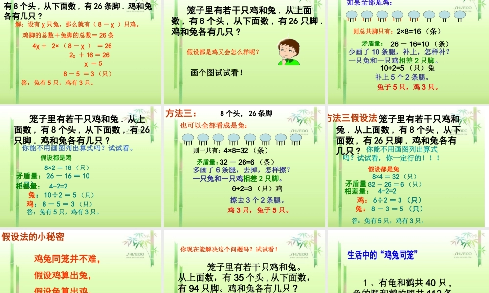 鸡兔同笼沈秀