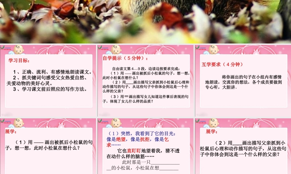 19《那只松鼠》