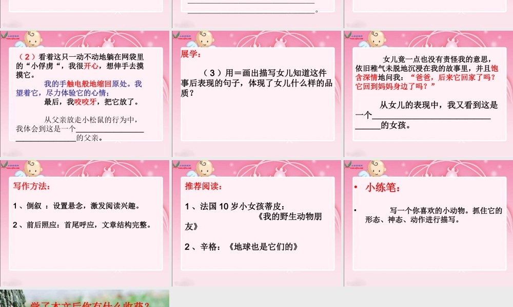 19《那只松鼠》