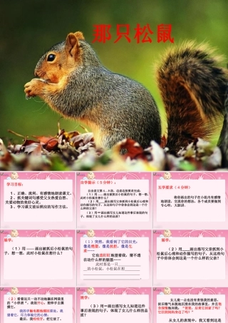 19《那只松鼠》