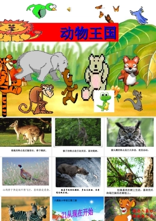 从现在开始--PPT优秀课件(实用)