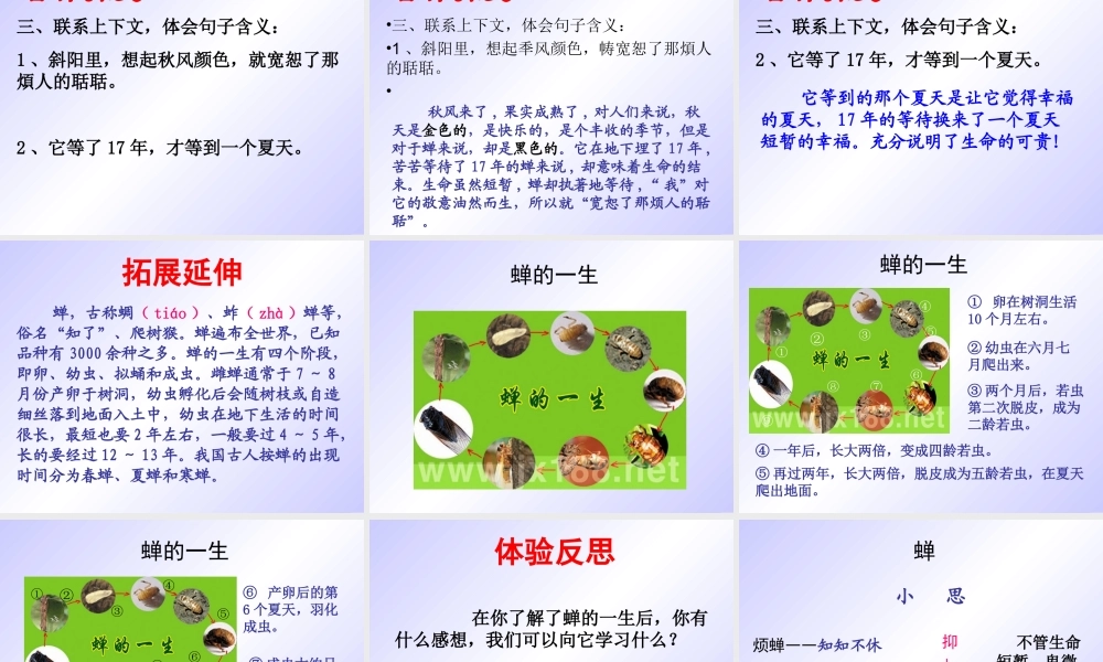 《短文两篇·蝉》