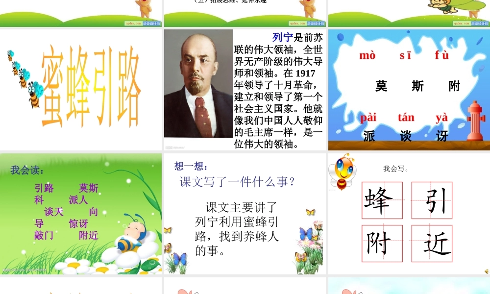 《蜜蜂引路》说课PPT