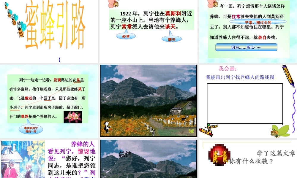 《蜜蜂引路》说课PPT