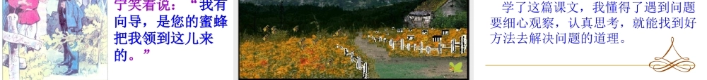 《蜜蜂引路》说课PPT