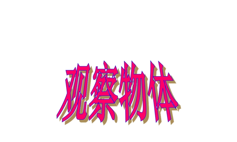 1629观察物体-(2)