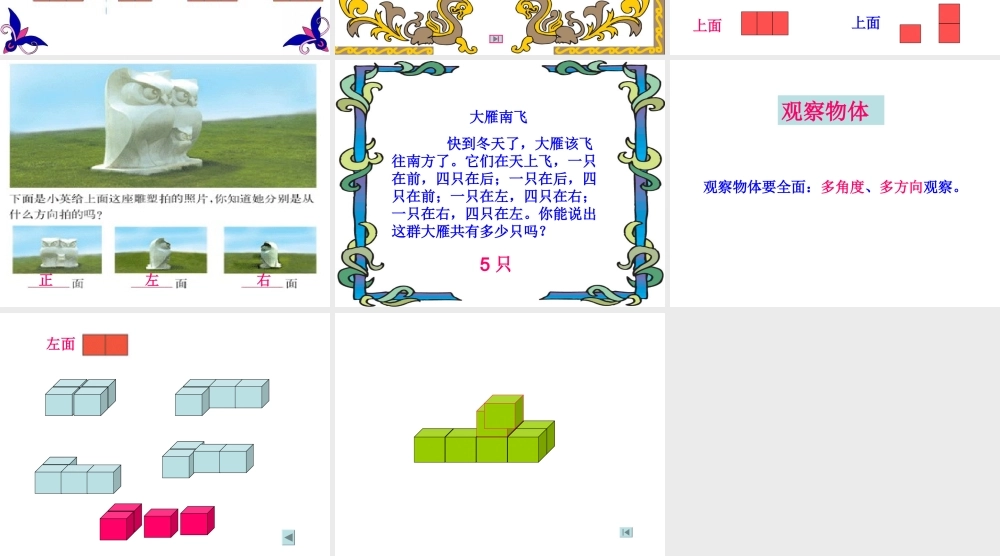 1629观察物体-(2)