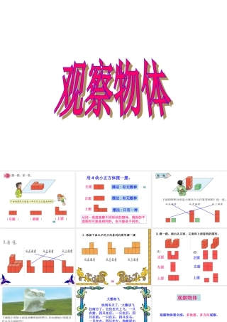 1629观察物体-(2)