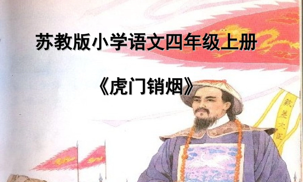 《虎门销烟》课件8