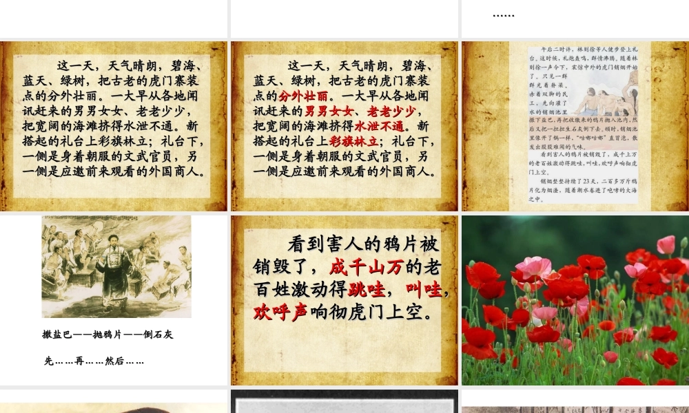 《虎门销烟》课件8