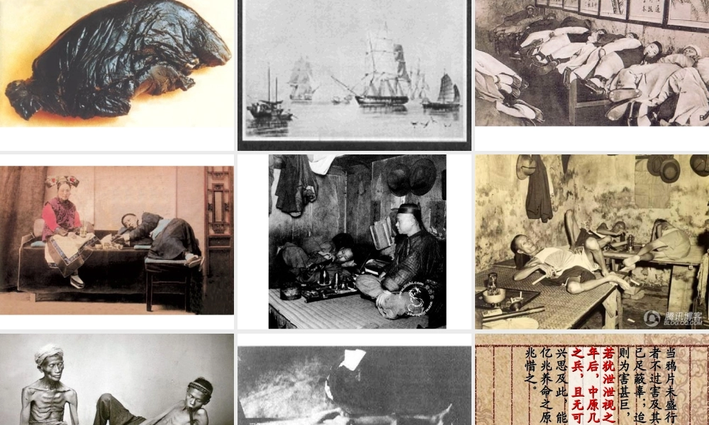 《虎门销烟》课件8