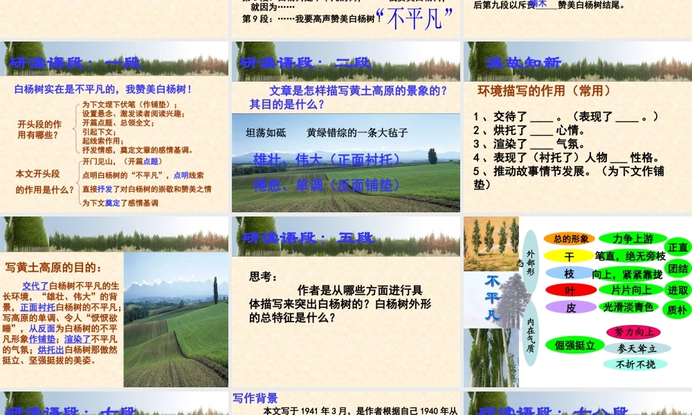 《白杨礼赞》