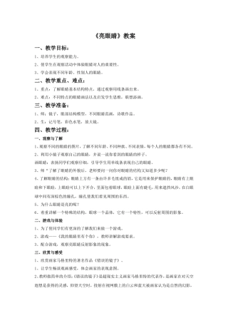 《亮眼睛》教案