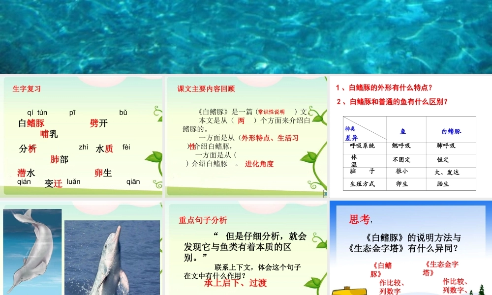 17《白鳍豚》ppt课件1-4
