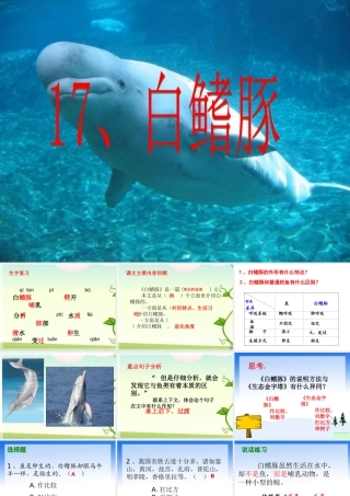 17《白鳍豚》ppt课件1-4