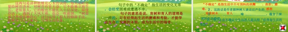 《桃花心木》ppt课件(完整)