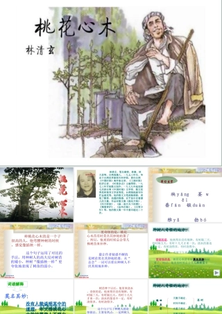 《桃花心木》ppt课件(完整)