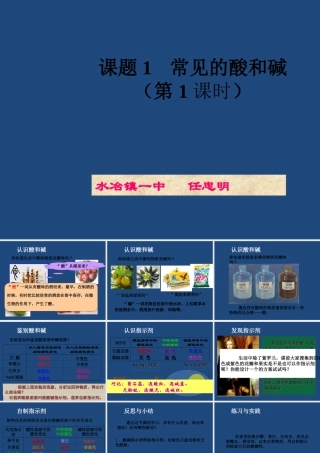 《常见的酸和碱》教学课件(第1课时)