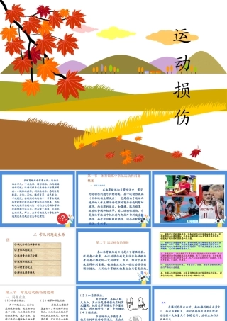 球类运动中常见的运动损伤及预防